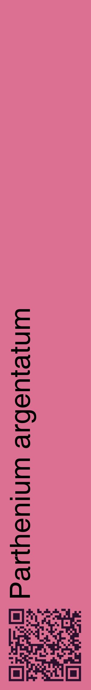 Étiquette de : Parthenium argentatum - format c - style noire44_basiquehel avec qrcode et comestibilité