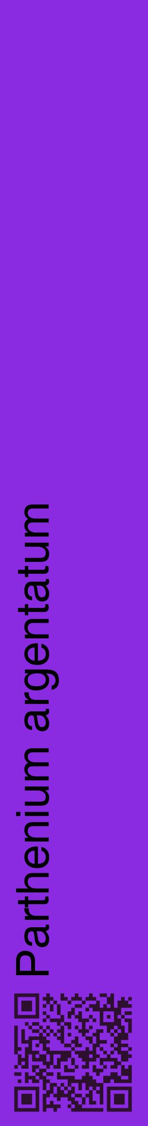 Étiquette de : Parthenium argentatum - format c - style noire49_basiquehel avec qrcode et comestibilité