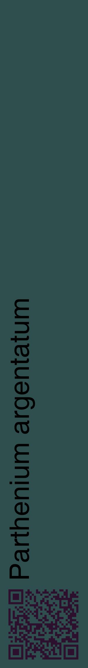 Étiquette de : Parthenium argentatum - format c - style noire58_basiquehel avec qrcode et comestibilité