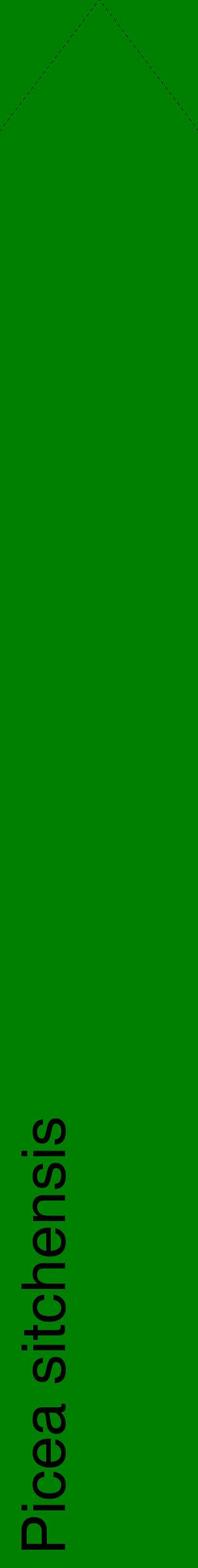 Étiquette de : Picea sitchensis - format c - style noire9_simplehel avec comestibilité