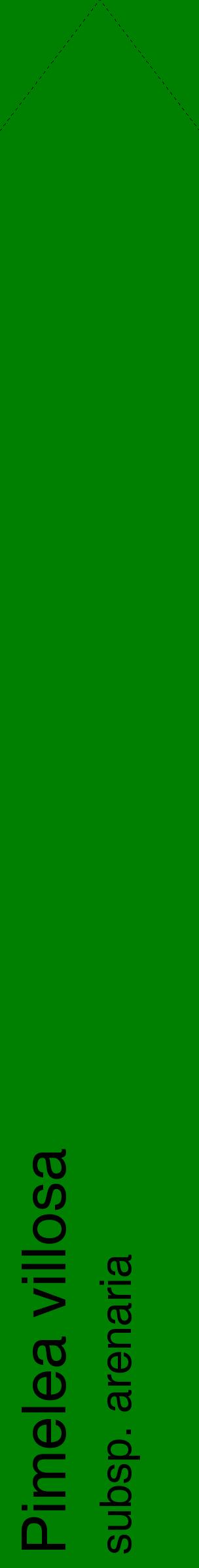 Étiquette de : Pimelea villosa subsp. arenaria - format c - style noire9_simplehel avec comestibilité