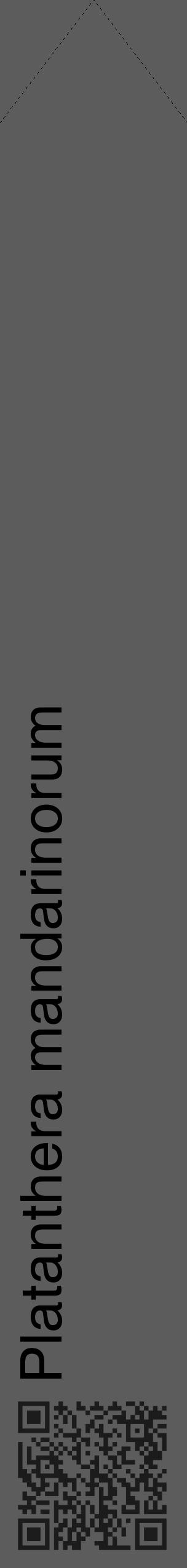 Étiquette de : Platanthera mandarinorum - format c - style noire49_simple_simplehel avec qrcode et comestibilité - position verticale
