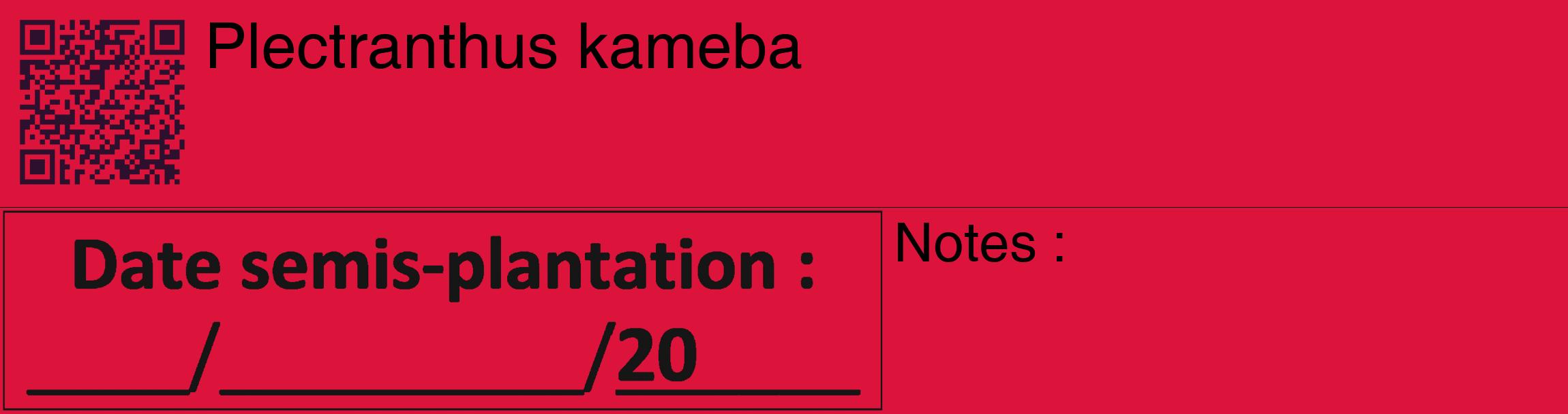 Étiquette de : Plectranthus kameba - format c - style noire36_basique_basiquehel avec qrcode et comestibilité