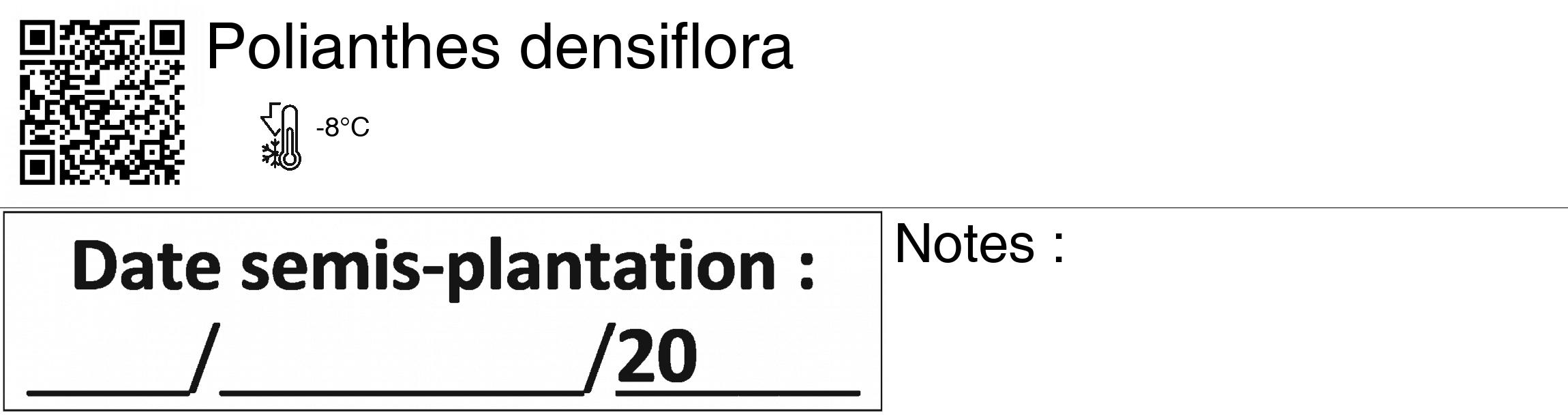 Étiquette de : Polianthes densiflora - format c - style noire60_basiquegrrvhel avec qrcode