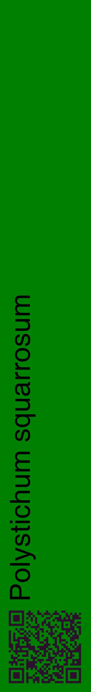 Étiquette de : Polystichum squarrosum - format c - style noire9_basiquehel avec qrcode et comestibilité