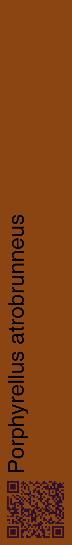 Étiquette de : Porphyrellus atrobrunneus - format c - style noire30_basiquehel avec qrcode et comestibilité