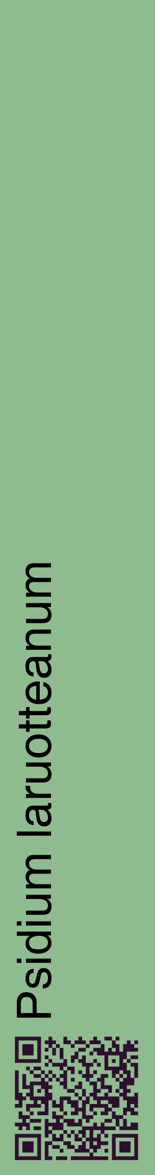 Étiquette de : Psidium laruotteanum - format c - style noire13_basiquehel avec qrcode et comestibilité