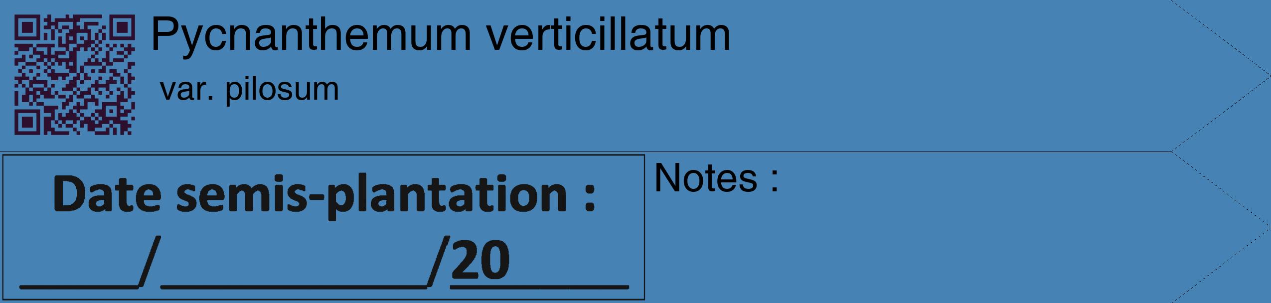 Étiquette de : Pycnanthemum verticillatum var. pilosum - format c - style noire5_simple_simplehel avec qrcode et comestibilité