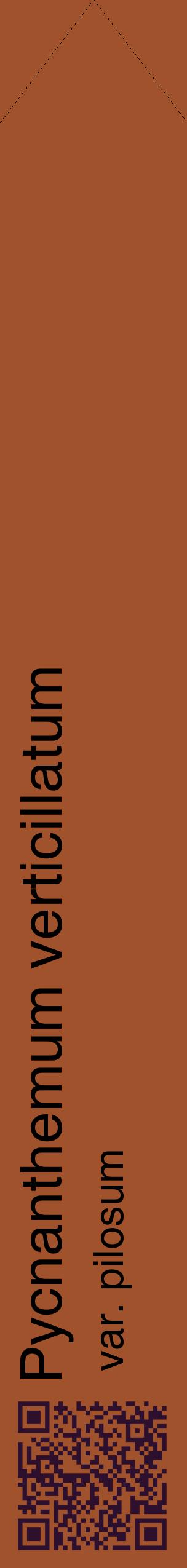 Étiquette de : Pycnanthemum verticillatum var. pilosum - format c - style noire32_simplehel avec qrcode et comestibilité