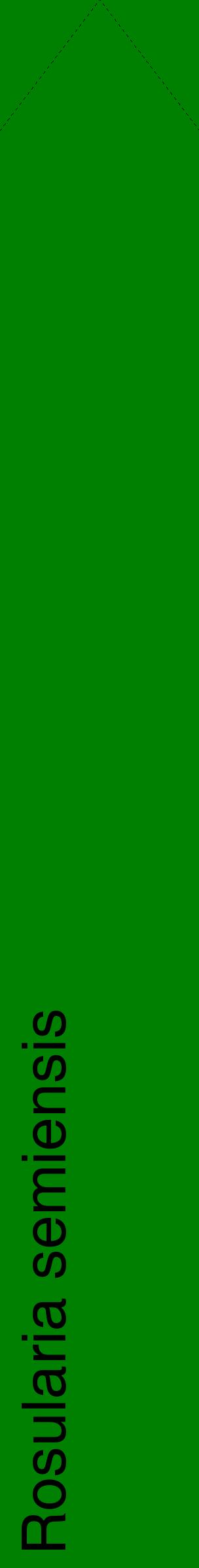 Étiquette de : Rosularia semiensis - format c - style noire9_simplehel avec comestibilité
