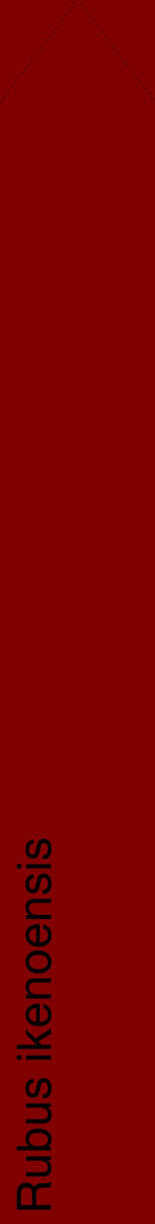 Étiquette de : Rubus ikenoensis - format c - style noire29_simplehel avec comestibilité