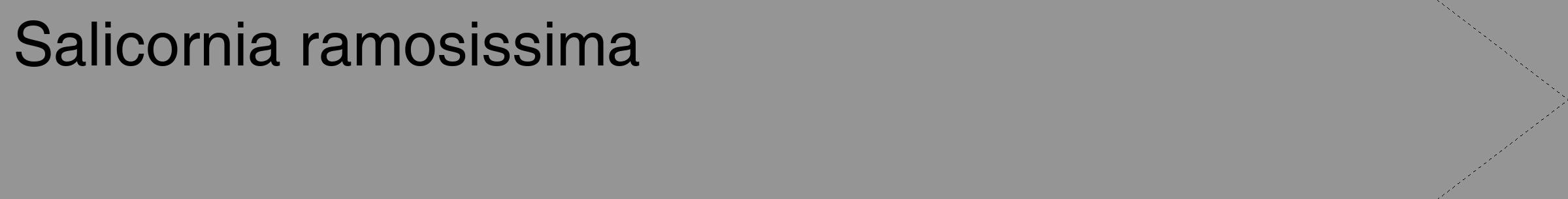 Étiquette de : Salicornia ramosissima - format c - style noire16_simple_simplehel avec comestibilité