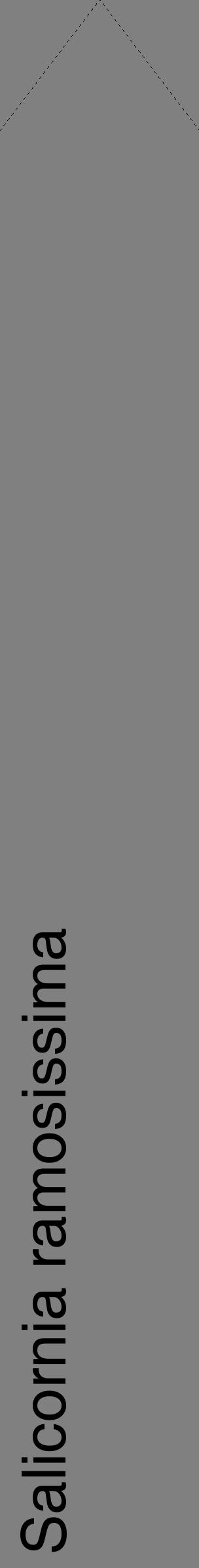 Étiquette de : Salicornia ramosissima - format c - style noire57_simplehel avec comestibilité