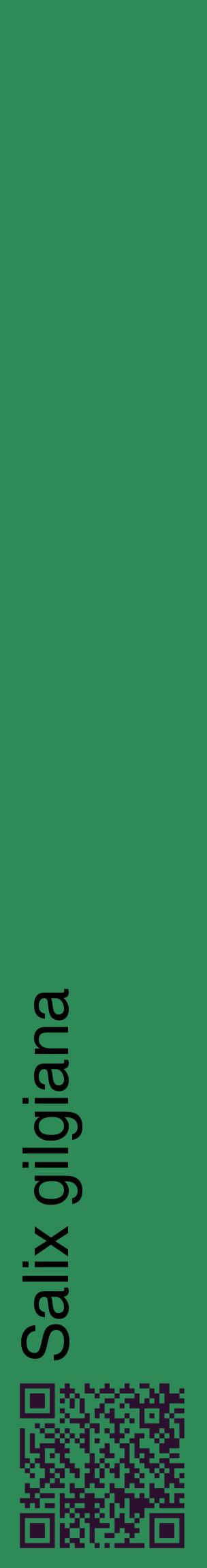 Étiquette de : Salix gilgiana - format c - style noire11_basiquehel avec qrcode et comestibilité