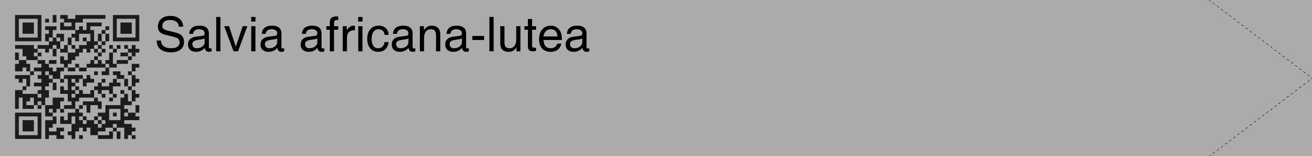 Étiquette de : Salvia africana-lutea - format c - style noire37_simple_simplehel avec qrcode et comestibilité