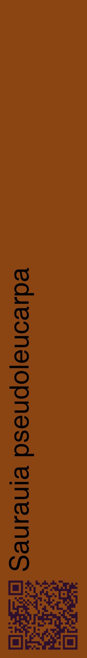 Étiquette de : Saurauia pseudoleucarpa - format c - style noire30_basiquehel avec qrcode et comestibilité
