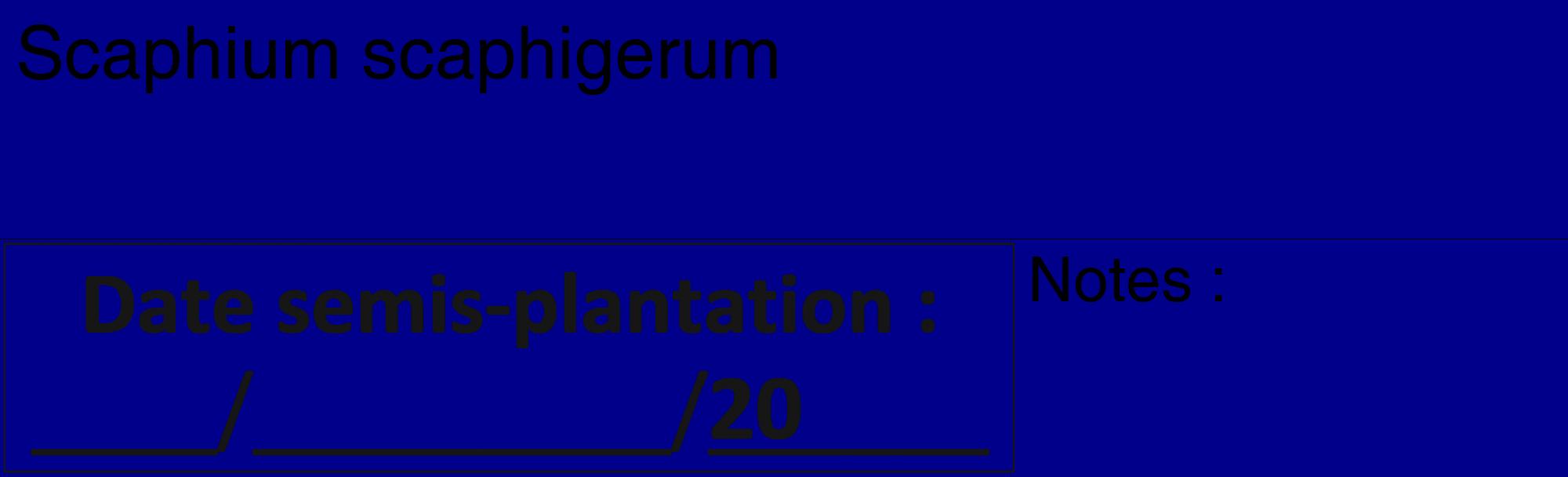 Étiquette de : Scaphium scaphigerum - format c - style noire7_basique_basiquehel avec comestibilité
