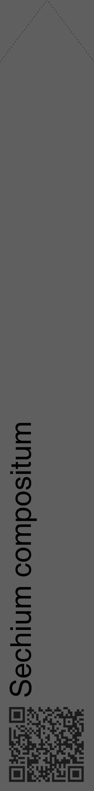 Étiquette de : Sechium compositum - format c - style noire10_simple_simplehel avec qrcode et comestibilité - position verticale