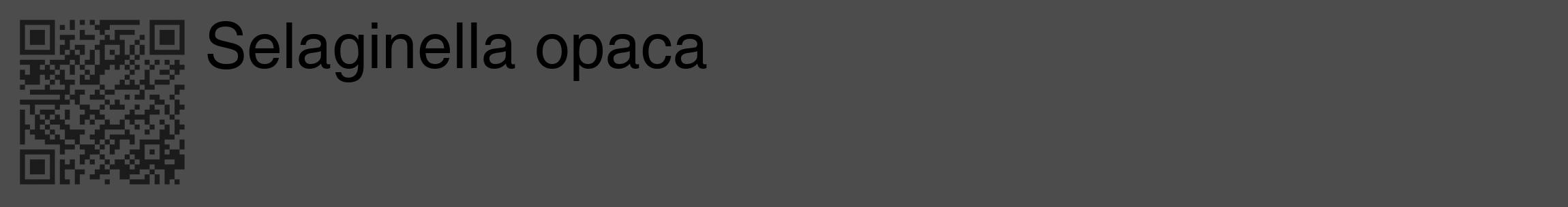 Étiquette de : Selaginella opaca - format c - style noire27_basique_basiquehel avec qrcode et comestibilité