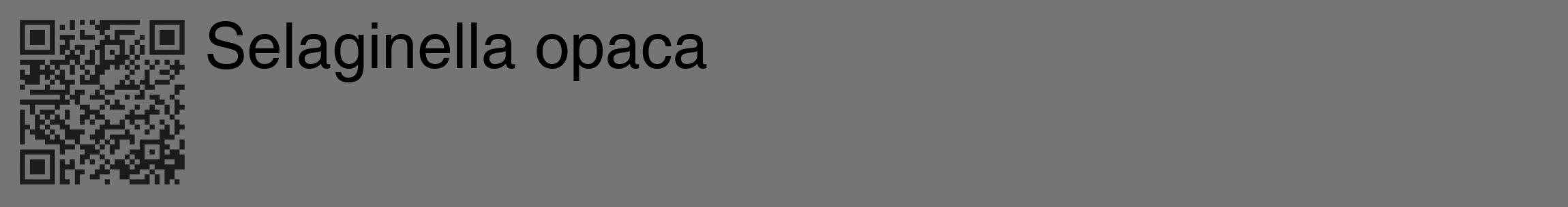 Étiquette de : Selaginella opaca - format c - style noire5_basique_basiquehel avec qrcode et comestibilité