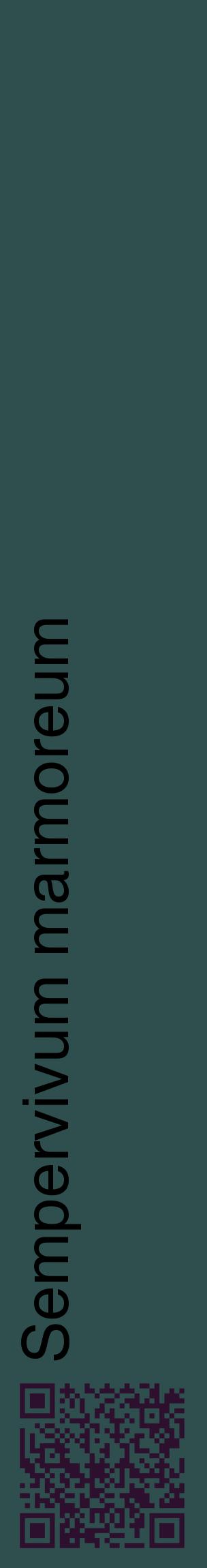 Étiquette de : Sempervivum marmoreum - format c - style noire58_basiquehel avec qrcode et comestibilité