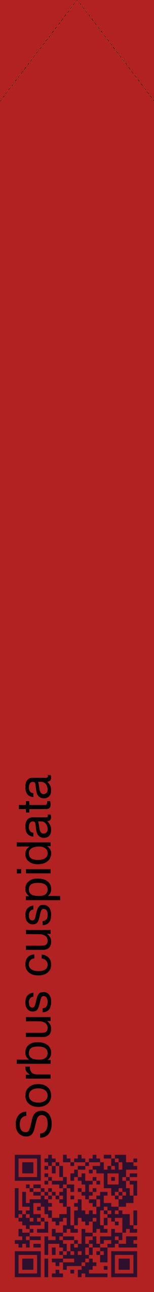 Étiquette de : Sorbus cuspidata - format c - style noire28_simplehel avec qrcode et comestibilité