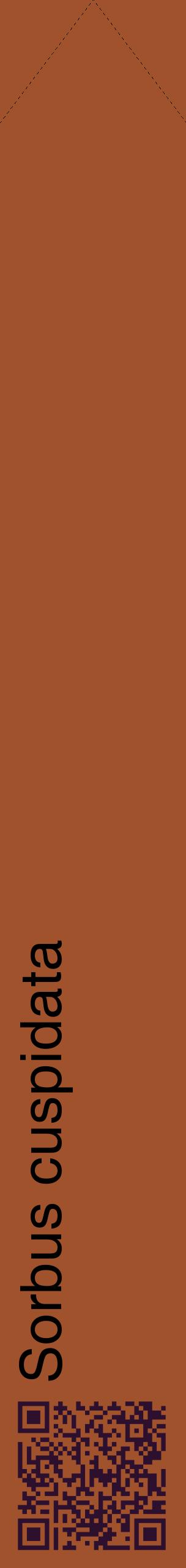 Étiquette de : Sorbus cuspidata - format c - style noire32_simplehel avec qrcode et comestibilité