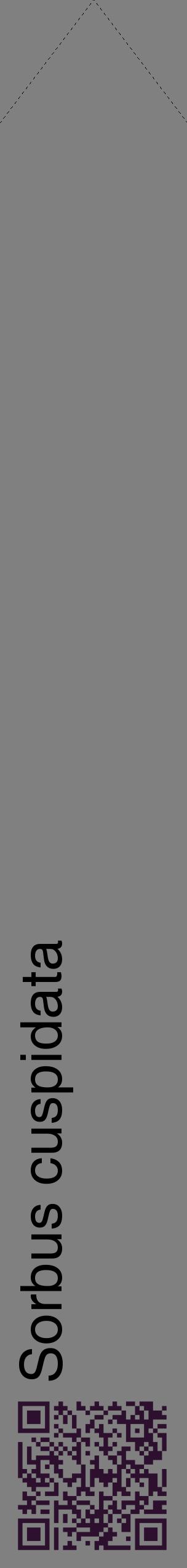Étiquette de : Sorbus cuspidata - format c - style noire57_simplehel avec qrcode et comestibilité