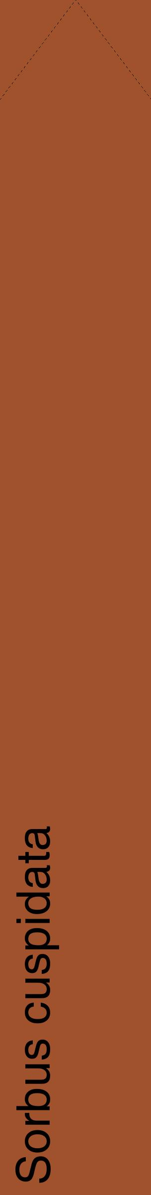 Étiquette de : Sorbus cuspidata - format c - style noire32_simplehel avec comestibilité