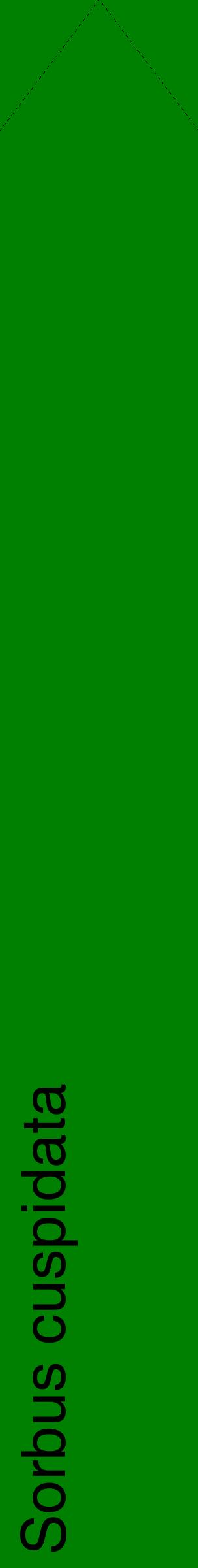 Étiquette de : Sorbus cuspidata - format c - style noire9_simplehel avec comestibilité