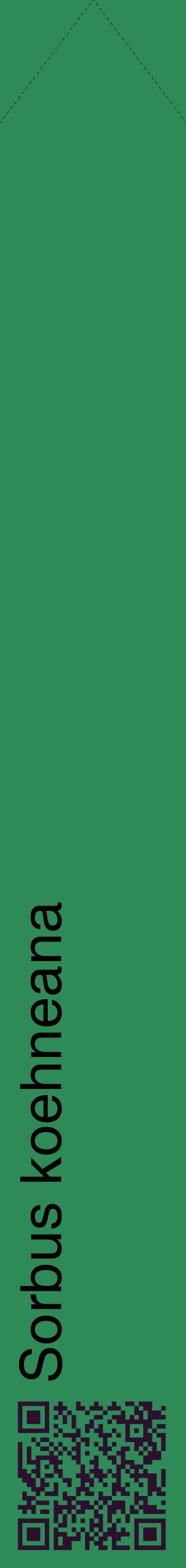 Étiquette de : Sorbus koehneana - format c - style noire11_simplehel avec qrcode et comestibilité