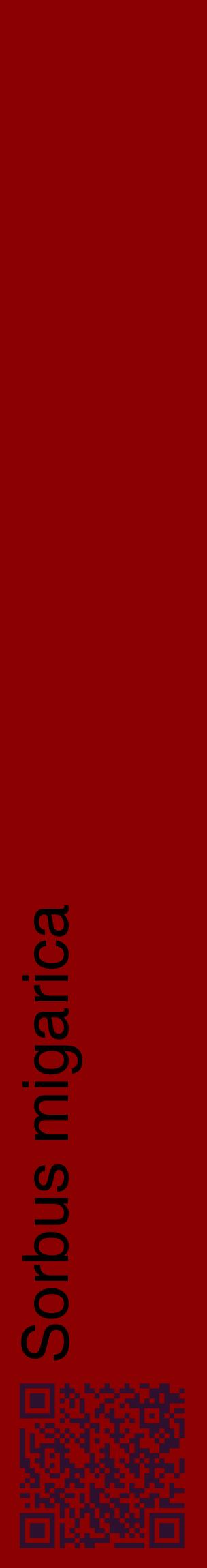Étiquette de : Sorbus migarica - format c - style noire34_basiquehel avec qrcode et comestibilité