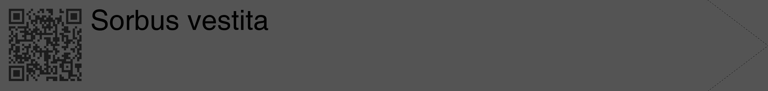 Étiquette de : Sorbus vestita - format c - style noire30_simple_simplehel avec qrcode et comestibilité