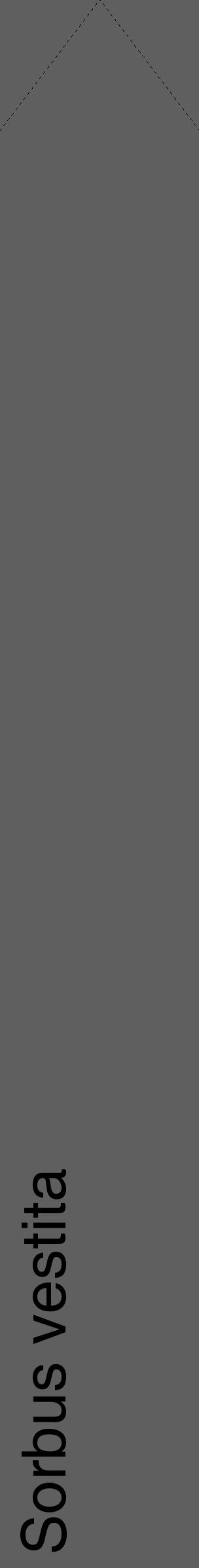 Étiquette de : Sorbus vestita - format c - style noire10_simple_simplehel avec comestibilité - position verticale