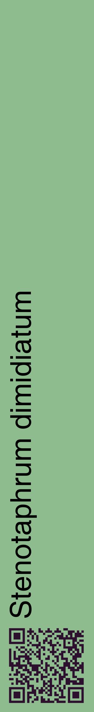 Étiquette de : Stenotaphrum dimidiatum - format c - style noire13_basiquehel avec qrcode et comestibilité