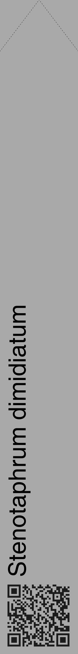 Étiquette de : Stenotaphrum dimidiatum - format c - style noire13_simple_simplehel avec qrcode et comestibilité - position verticale
