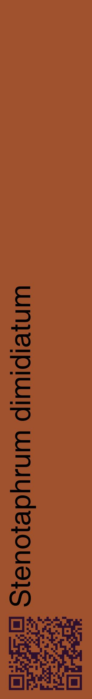 Étiquette de : Stenotaphrum dimidiatum - format c - style noire32_basiquehel avec qrcode et comestibilité