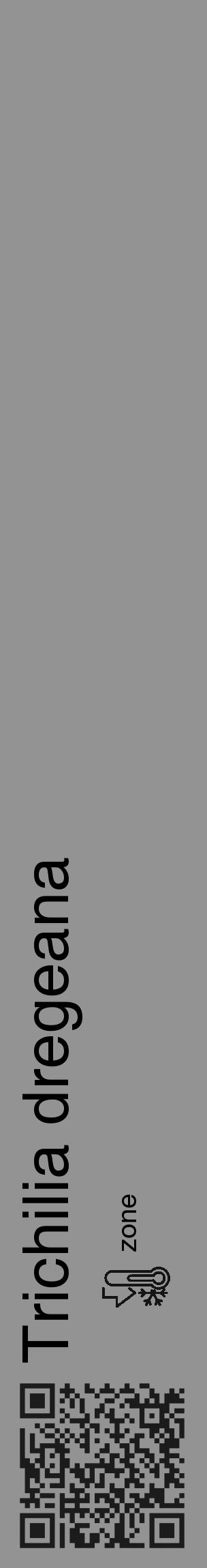 Étiquette de : Trichilia dregeana - format c - style noire44_basique_basiquehel avec qrcode et comestibilité - position verticale