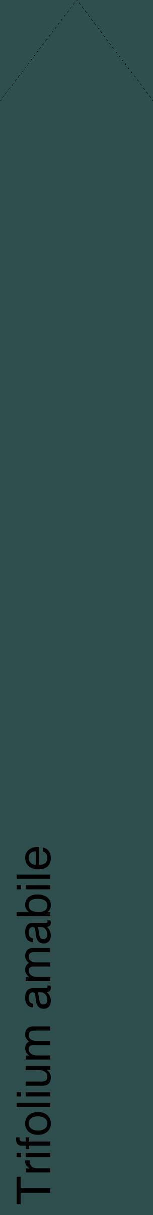 Étiquette de : Trifolium amabile - format c - style noire58_simplehel avec comestibilité