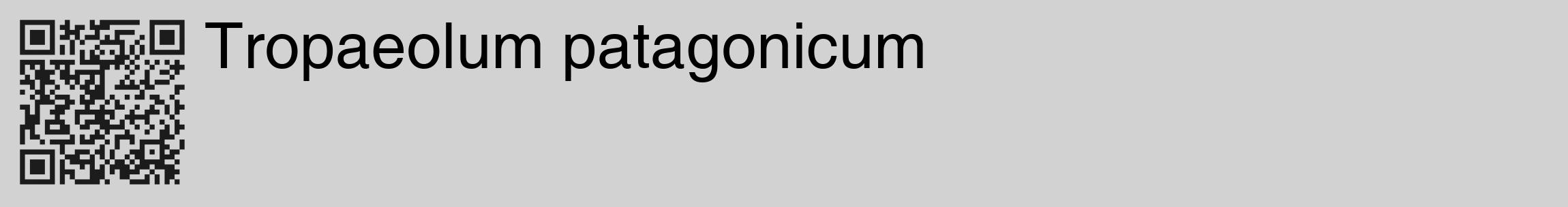 Étiquette de : Tropaeolum patagonicum - format c - style noire14_basique_basiquehel avec qrcode et comestibilité