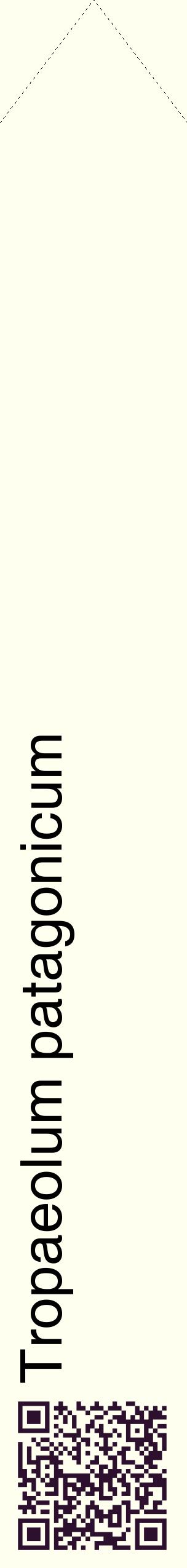 Étiquette de : Tropaeolum patagonicum - format c - style noire19_simplehel avec qrcode et comestibilité