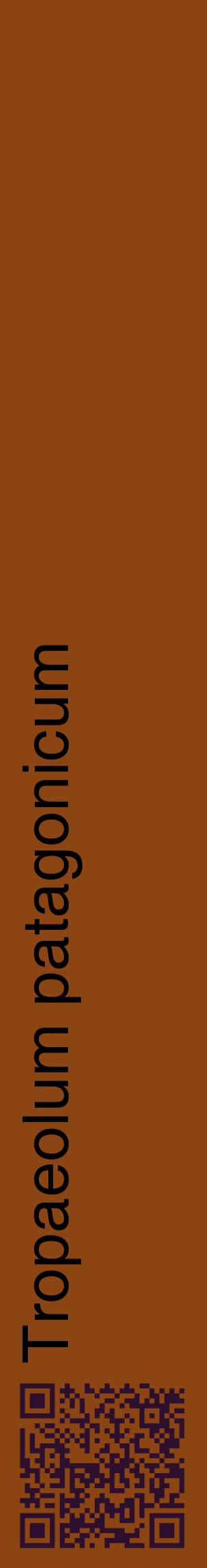 Étiquette de : Tropaeolum patagonicum - format c - style noire30_basiquehel avec qrcode et comestibilité