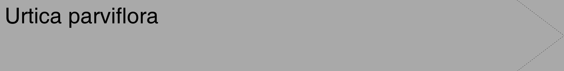 Étiquette de : Urtica parviflora - format c - style noire13_simple_simplehel avec comestibilité