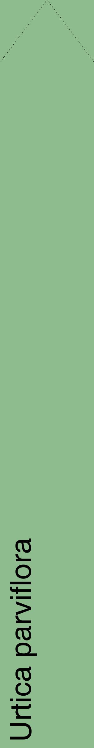 Étiquette de : Urtica parviflora - format c - style noire13_simplehel avec comestibilité