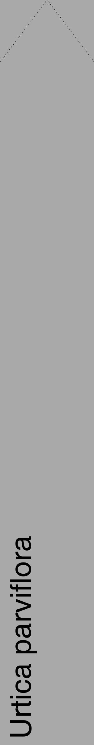 Étiquette de : Urtica parviflora - format c - style noire13_simple_simplehel avec comestibilité - position verticale