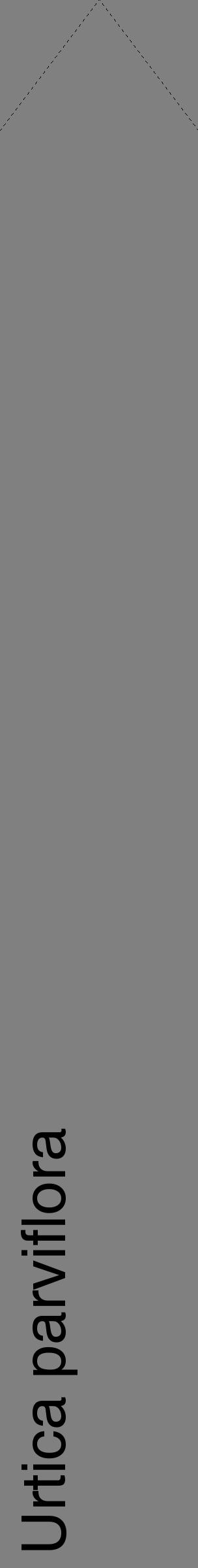 Étiquette de : Urtica parviflora - format c - style noire57_simplehel avec comestibilité