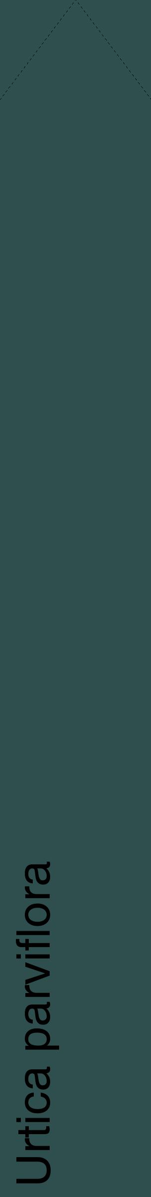 Étiquette de : Urtica parviflora - format c - style noire58_simplehel avec comestibilité