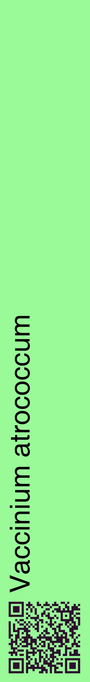Étiquette de : Vaccinium atrococcum - format c - style noire14_basiquehel avec qrcode et comestibilité