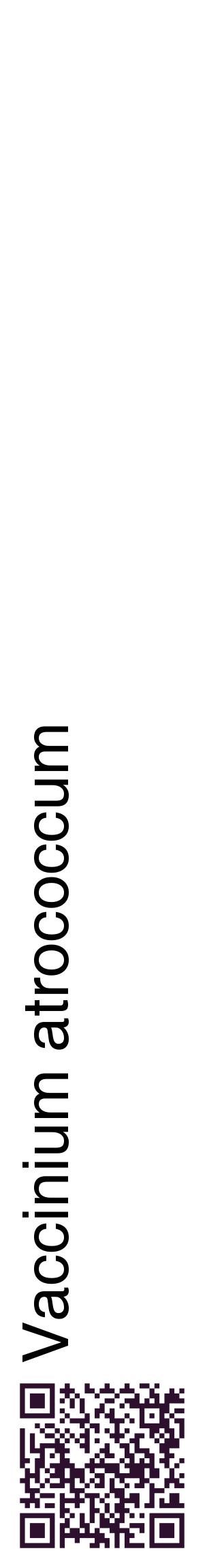 Étiquette de : Vaccinium atrococcum - format c - style noire60_basiquehel avec qrcode et comestibilité