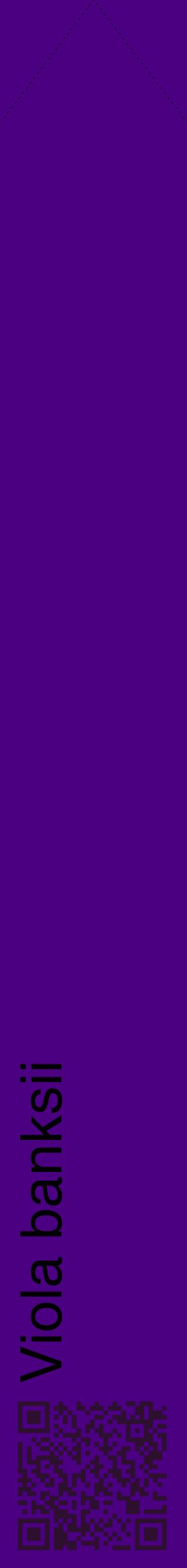 Étiquette de : Viola banksii - format c - style noire47_simplehel avec qrcode et comestibilité